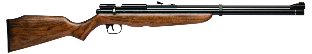 Benjamin Discovery Air Rifle