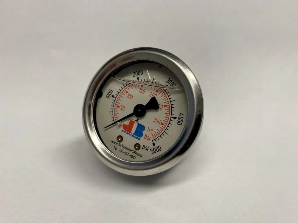 Guppy Gauge BSPP (2″ Face, 1/8″ BSPP Back Mount)