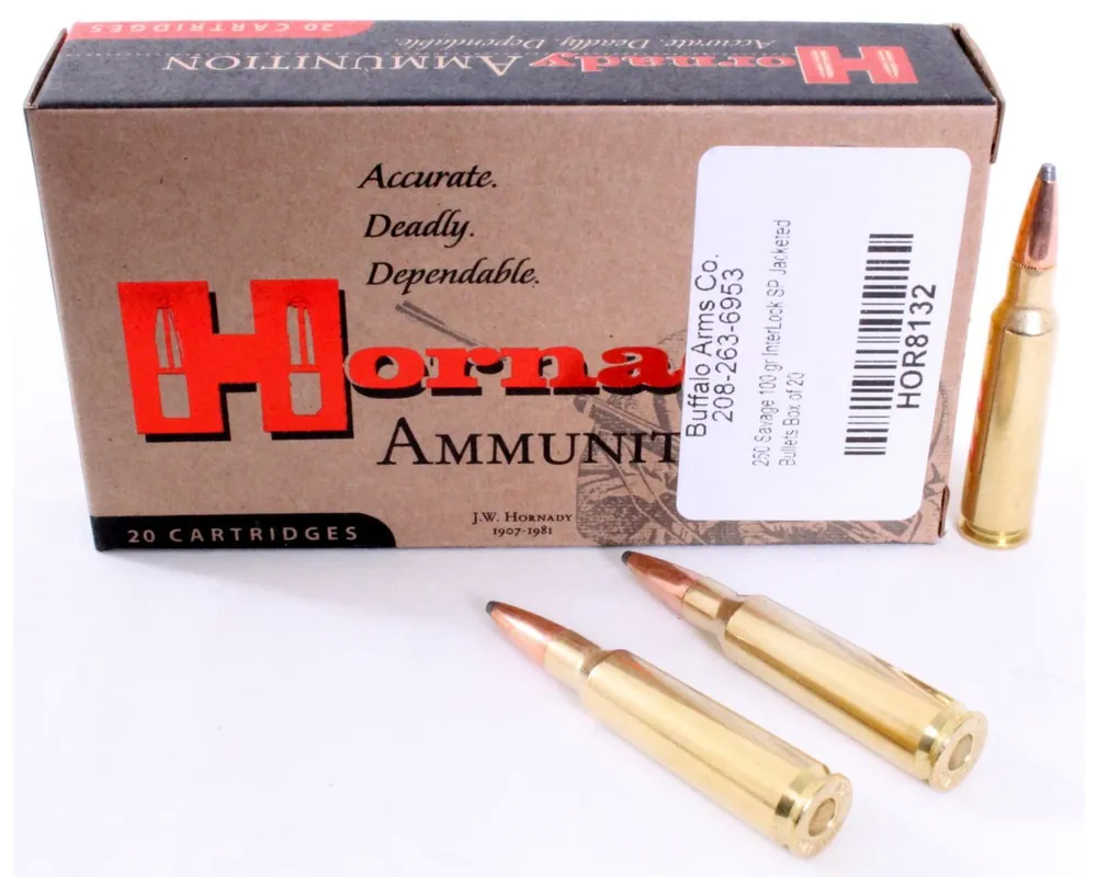250 Savage 100 gr InterLock SP Ammuntion Box of 20