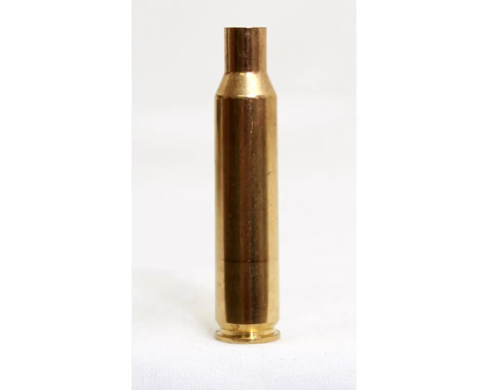 6.5X54MS Mannlicher Schoenauer Prvi Partizan Brass Cases Bag of 100
