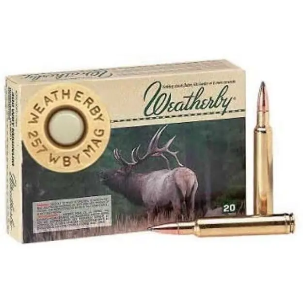 Weatherby Ammo #18604 Wby Mag 250Gr Nosler Pt