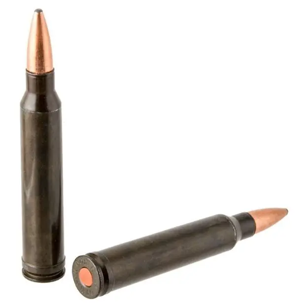 Rifle Training Cartridge 300 Winchester Mag (2 Ct)