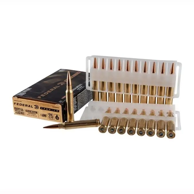 300 Winchester Magnum 215Gr Hybrid 20/Box