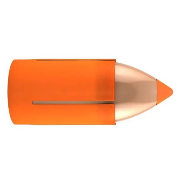 Nosler Bullets Mz 50 Cal 300Gr Ballistic Tip 15Ct