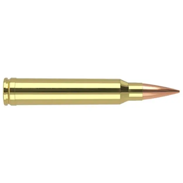 Nosler Match 300 Win Mag 210Gr Reduced Drag Hpbt 20Rd 10Bx/C!