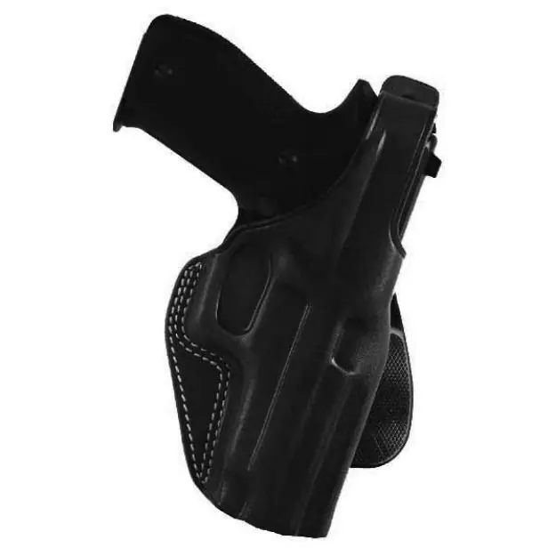 Ple Sig Sauer P226-Black-Right Hand
