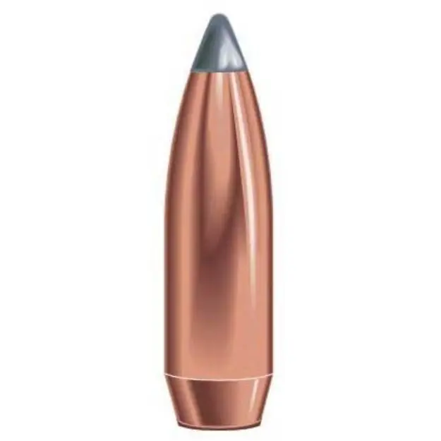 375 Caliber (0.375'') 270Gr Soft Point 50/Box