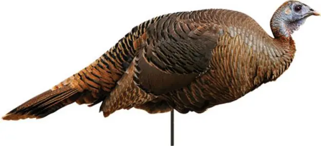 Montana Decoy Turkey Spring Fling Hen