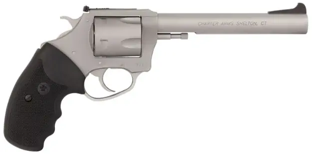 Charter Arms Pit Bull 9Mm 6" Adj S/S