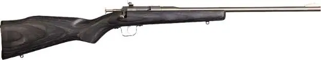 Chipmunk Rifle 22Lr Stainless/Black Laminate