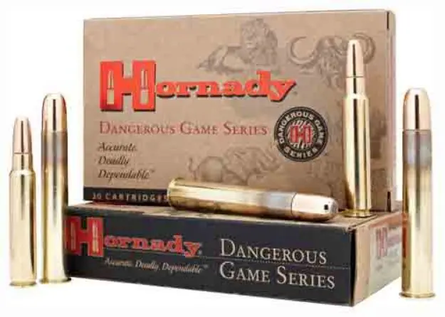 Hornady 416 Ruger 400Gr Dgs 20Rd 6Bx/Cs