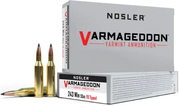Nosler Varmageddon 243 Win 55Gr Fbt 20Rd 10Bx/Cs
