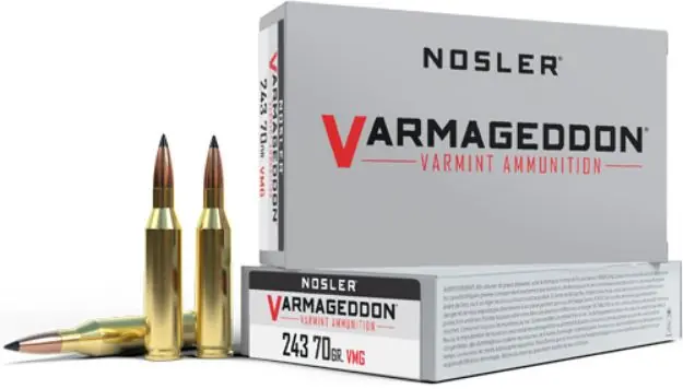 Nosler Varmageddon 243 Win 70Gr Fbt 20Rd 10Bx/Cs