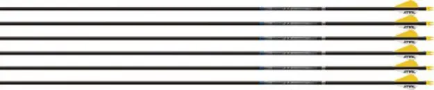 Easton Arrow Sonic 6.0 300 W/2" Bully Vanes 6-Pack