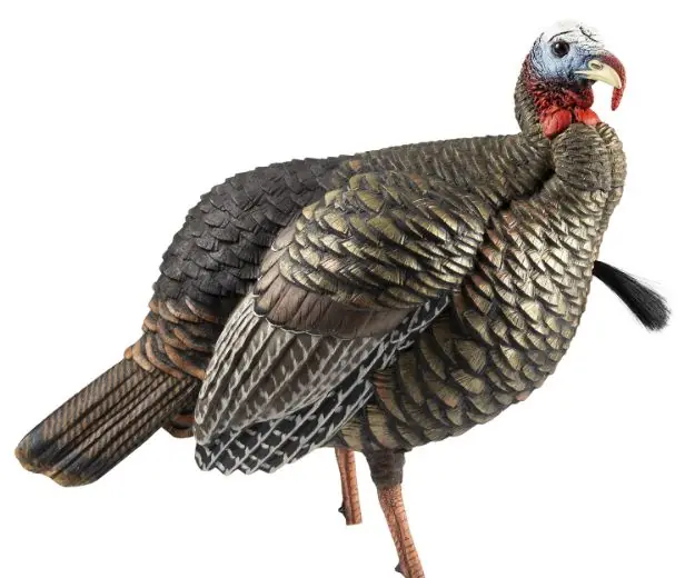 AVIAN AVXAVX8105 HDR JAKE DECOY