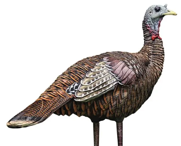 Avian X Lcd Lookout Hen Decoy