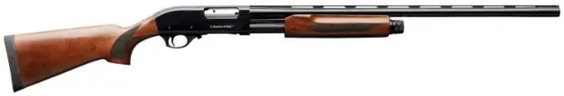 Charles Daly 301 12Ga 3" 28"Vr Blued Hardwood