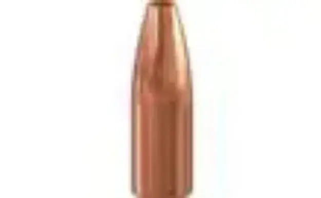 Speer Sp .22Cal 52Gr Hp 1000/Bx