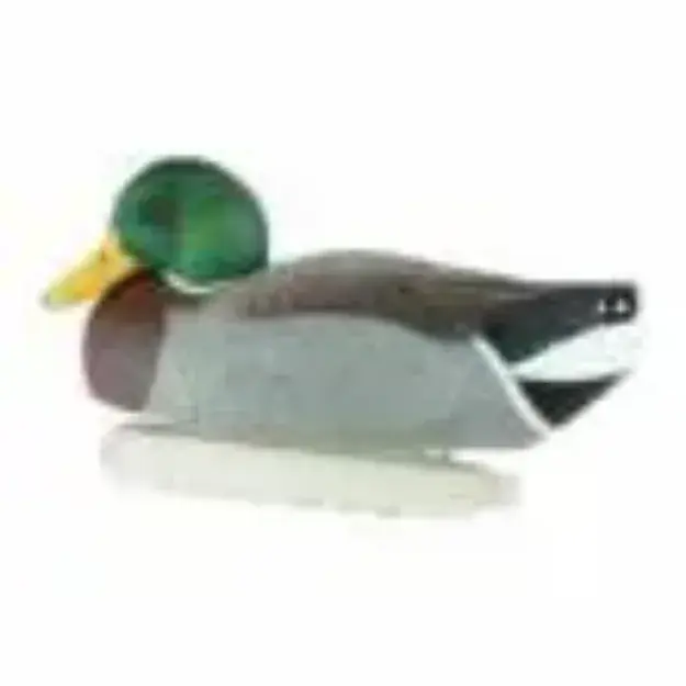 Cupped Finishing Mallards 6 Pack Decoy