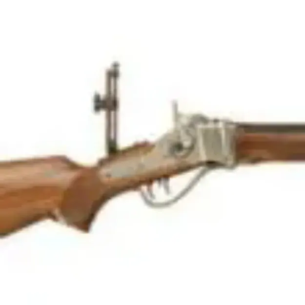 Pedersoli Sharps Rifle 45-70 30Inch