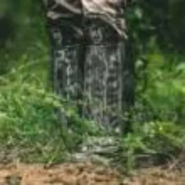 Snake Gaiters - Mo Original Bottomland