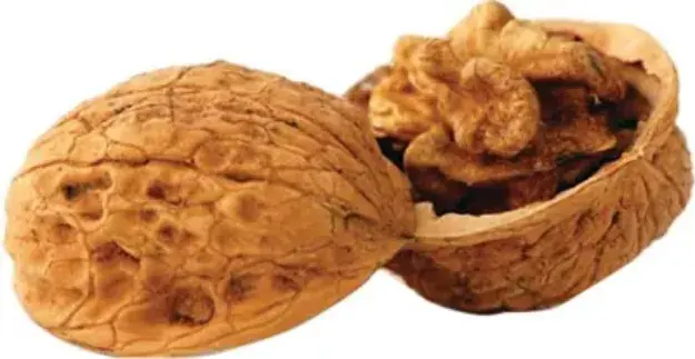 Berry's Walnut Media 8 Lb. Box