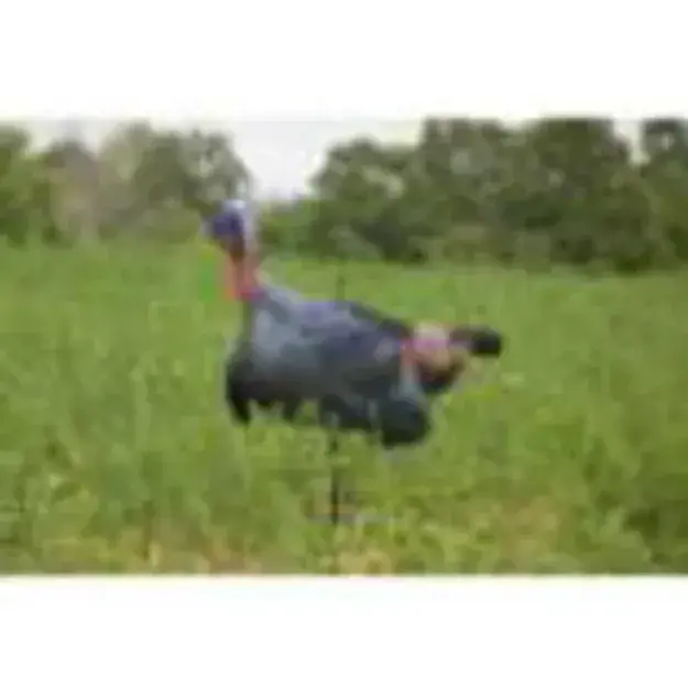 Higdon Flex Upright Tom Silhouette