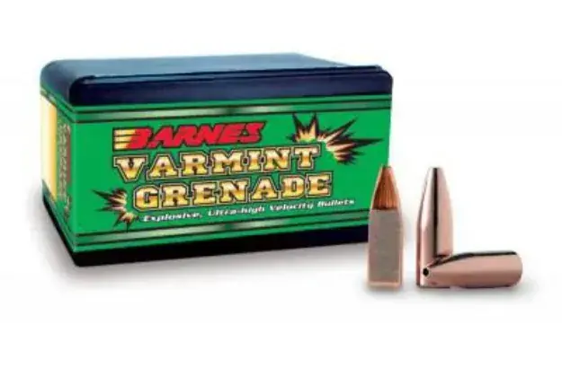 Barnes 224 30Gr Vgfb 22Hornet Per250