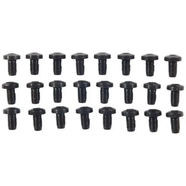 24 Pack H/H Blue Screws