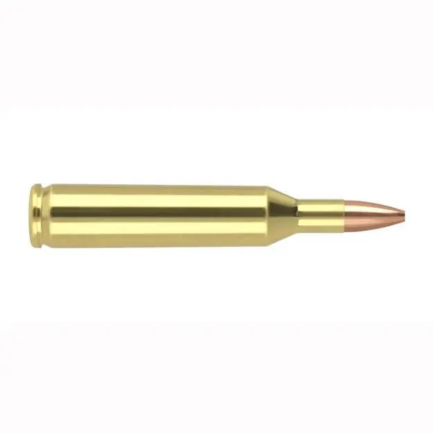 Nosler Varmageddon 17 Rem 20Gr Hpfb 20Rd 20Bx/Cs