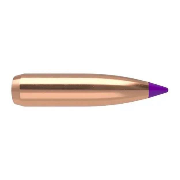 Nosler Bullets 6Mm .243 95Gr Ballistic Tip 50Ct