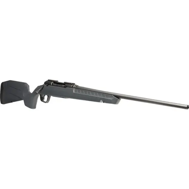 Axis 2 30-06 Bl/Gry 22"
