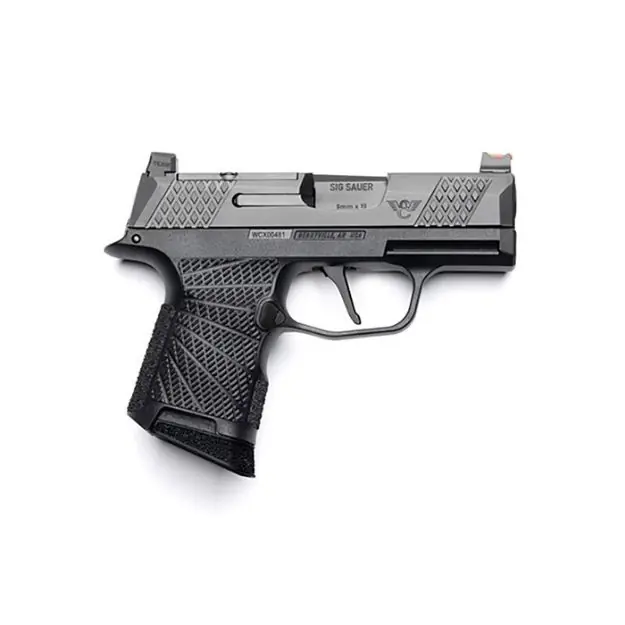 Wcp365 9Mm Luger 3.1'' Bbl (2)10Rd Mags Rmrcc Plate Black