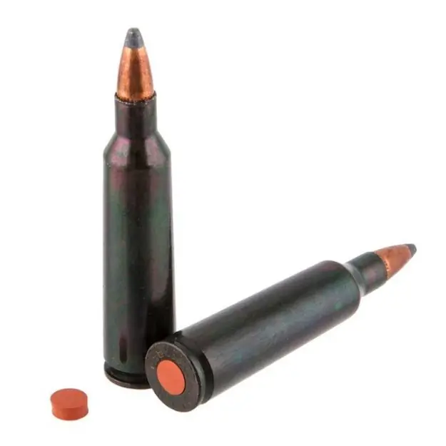 Traditions Rifle Training Cartridge 22-250 Rem (2 Ct)