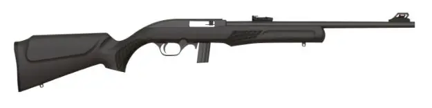 Rs22 22Lr Blk/Syn 18" 10+1 Tb#