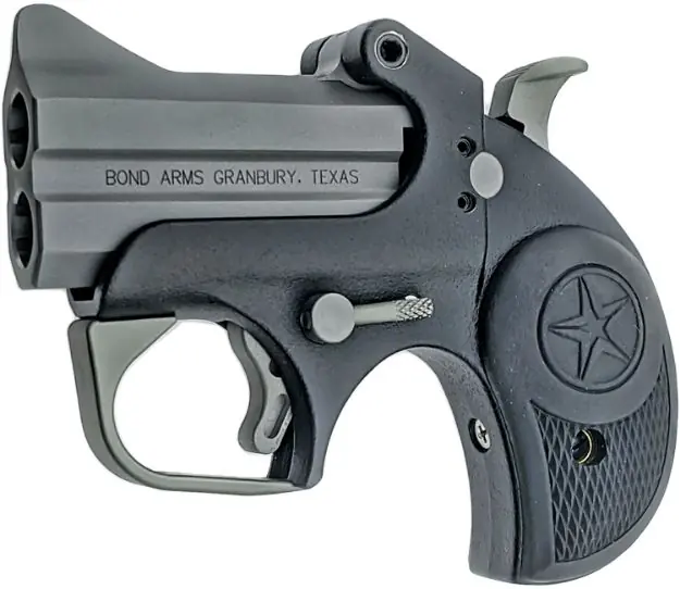 BOND BACKUP W/TG 9MM 2.5" STS/BLK