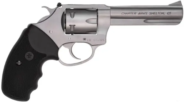 Charter Arms Pathfinder 22Wmr 4.2" S/S Adj