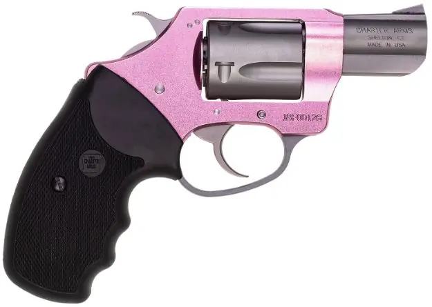 Charter Arms Pink Lady 38Spl 2" Pink/Ss