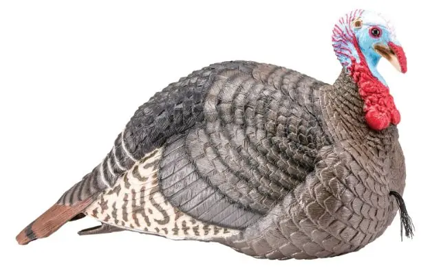 HS 100003 STRUT-LITE JAKE DECOY
