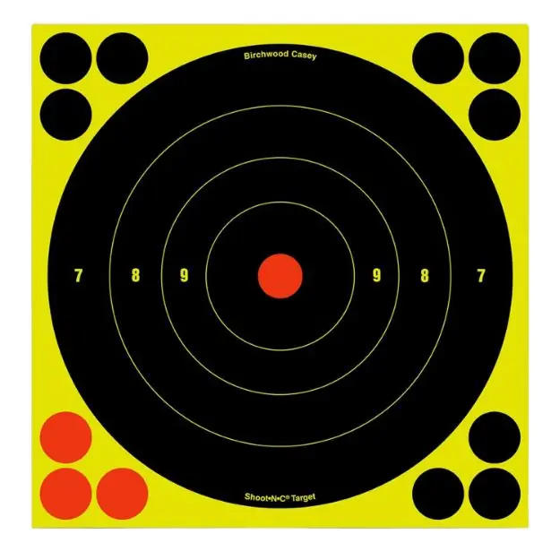 BIR 34825 SHOOT-N-C 8" BULLSEYE 30PK