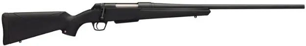 WGUN 5357002002 XPR NS 400L 22 MTBLK