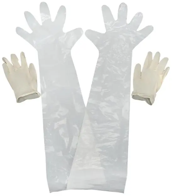 ALLEN 51 FIELD DRESSING GLOVES 2PK