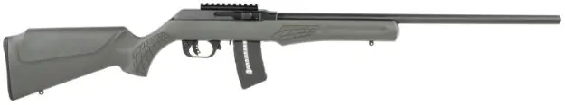 Rs22 22Mag Blk/Gray 21" 10+1