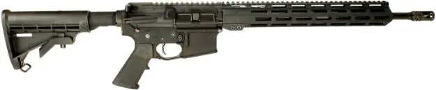 Delton Echo 316L 5.56Mm O.R. 16" Lw Bbl. M-Lok 30Rd Black<