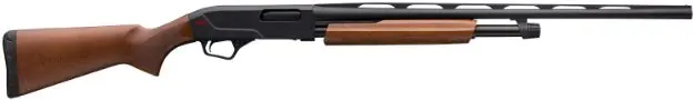 WGUN 512266392 SXP FIELD 12 28 WAL