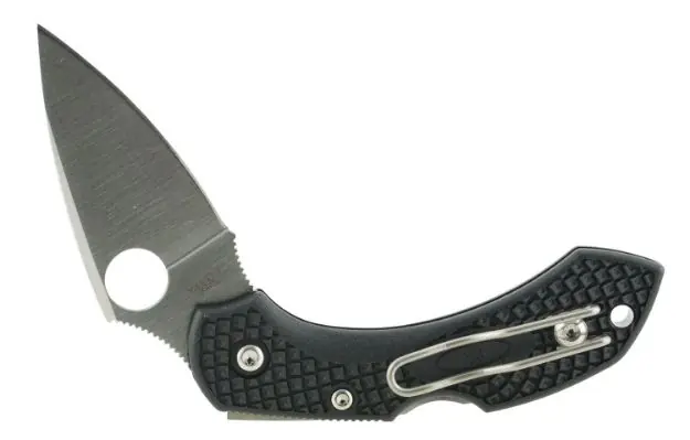 SPYDERCO DRAGONFLY2 BLACK FRN PLAIN