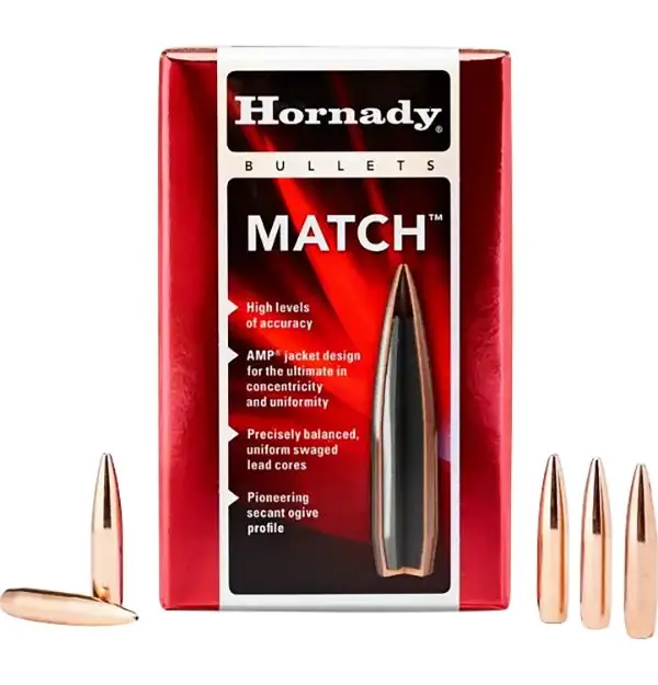 HORN 2458 BULL .243 105 BTHP-M 100/25