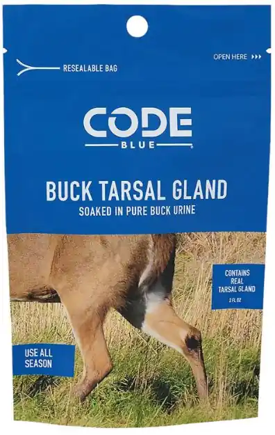 CODE OA1424 TARSAL GLAND WHOLE