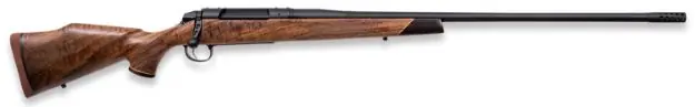 307 Adventure Sd 240Wby 24"