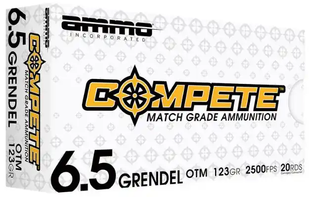 AMMOINC 65GR123BTHPA20 MATCH 65GRD 123BTHP 20/10